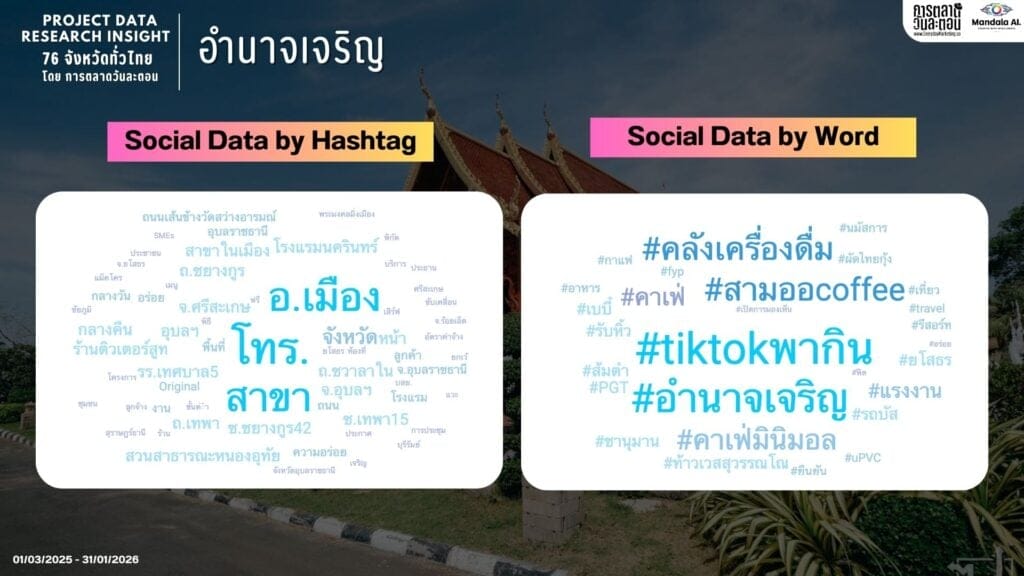 Data Research Insight อำนาจเจริญ